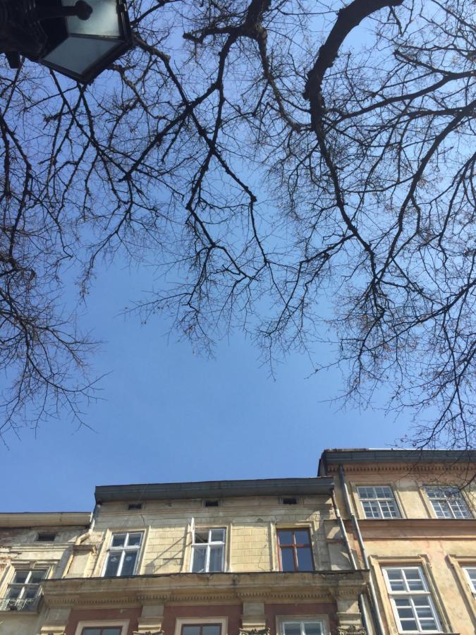 Vysoka Khata Lviv Dış mekan fotoğraf
